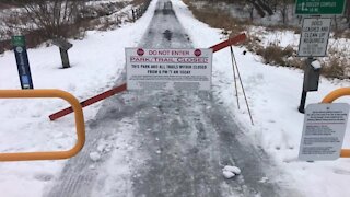 East Lansing aims to reduce deer population through deer cull in city parks