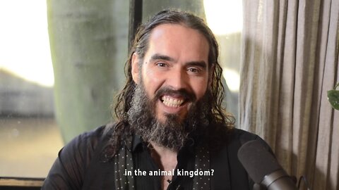Russell Brand On Cheating & Having Affairs!