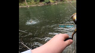 The Spot: Trout Fishing