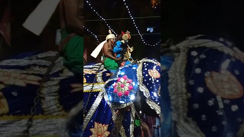 Lord Shiva riding an elephant