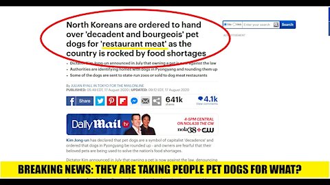 North Korea is taking pet dogs