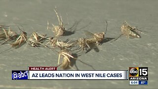 Arizona leads the nation in West Nile cases