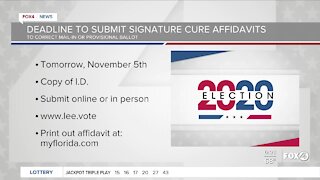 Deadline to submit signature cure affidavits