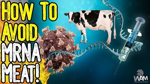 WAM: HOW TO AVOID mRNA MEAT! - The Fight Against Farmers Continues! 11-9-2023