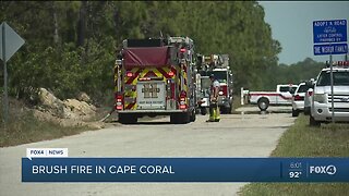 Brush fire burns over 40 acres in Cape Coral