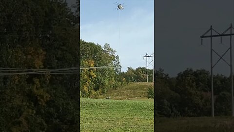 Extreme Tree Trimming #helicopter #trimmer #maintenance