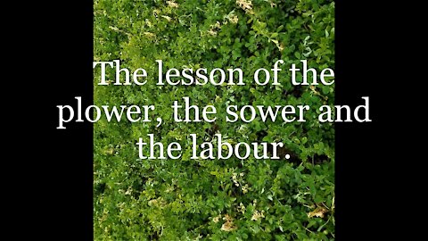 The Plower, The Sower and The Labour