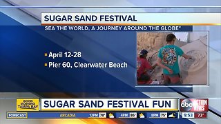 Volunteers needed for Pier 60 Sugar Sand Festival