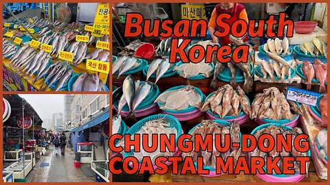 Haean and Chungmu-dong Coastal Market - Local Seafood Markets - Busan South Korea 2023