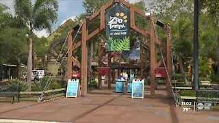 ZooTampa incentivizes COVID-19 vaccine for staff