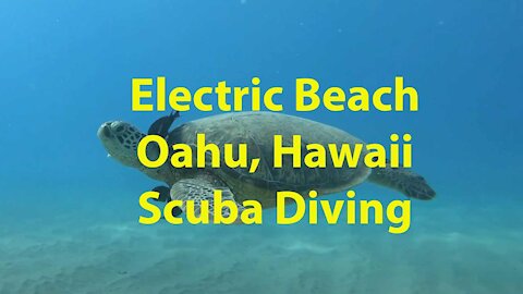 Scuba Diving at Electric Beach, Oahu, Hawaii