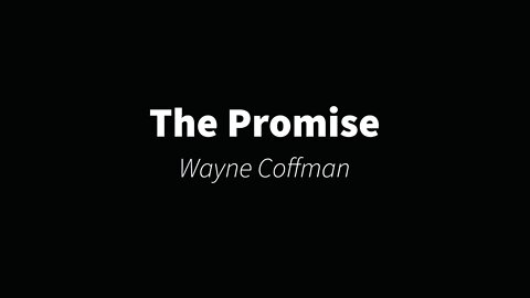The Promise- Wayne Coffman