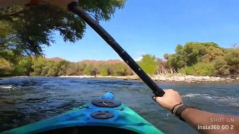 Salt River Kayaking in Arizona...