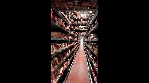 globalist are well stocked up on eat meat, while they will make us eat bugs