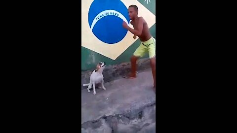 Funny video must watch dog dancing dwl sick dog's moves watch to see what happen