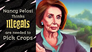 N. Pelosi says illegals are needed to pick crops