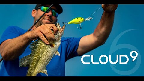 Catch HUGE Summer Bass With THESE Crankbaits (Shallow or Deep)