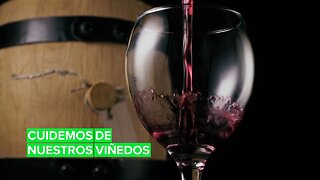 El cambio climático está afectando al vino