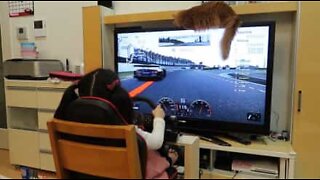 게임천재 5살짜리 소녀의 GT5 플레이