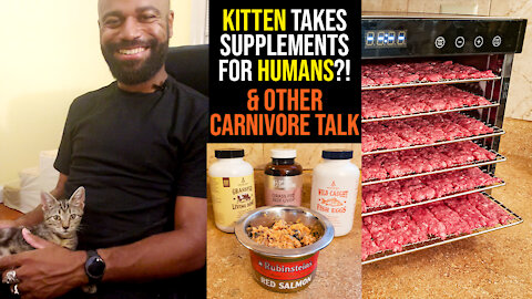 KITTEN Takes Supplements for HUMANS?! and Other Carnivore Diet Talk