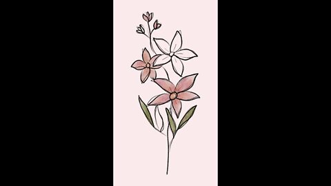 shortsbetter watercolor pencil sketch flower 🌸 print hand-drawn 🎨 art drawing illustration animation
