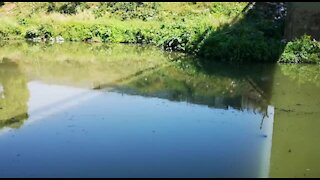 SOUTH AFRICA - Durban - Oil leaks into river (VIdeos) (w4K)
