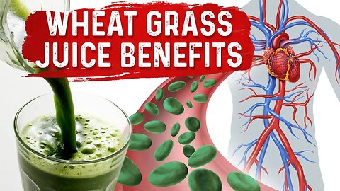 Green Blood Therapy – Benefits of Wheatgrass Juice Powder – Dr.Berg