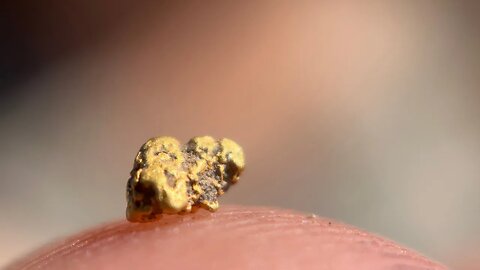 The Most Unlikely Gold Nugget