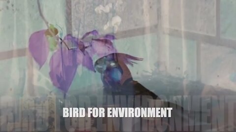 ENVIRONMENT FOR BIRD