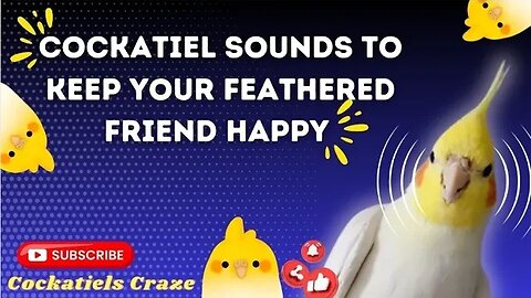 Cockatiel Sounds to Keep Your Feathered Friend Happy and Social