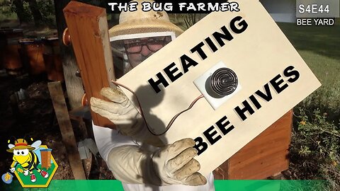 Heated Bee Barns |Adding the heaters to the bee Barns and front row hives. | #beekeeping #insects