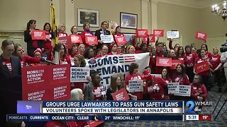 Groups Urge Maryland Lawmakers to Pass Gun Safety Legislation