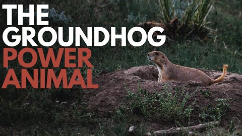The Groundhog Power Animal