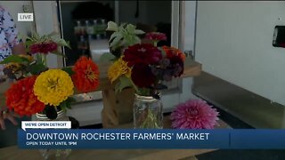 Rochester Farmer's Market