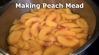 Making Peach Mead - Back Sweetening a year later