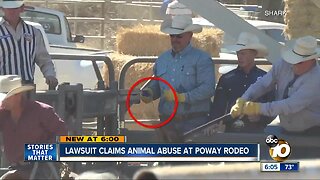 Lawsuit claims animal abuse at Poway rodeo