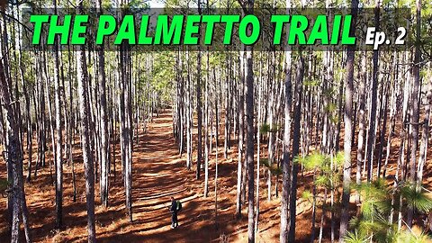 Solo Backpacking 120 Miles on The Palmetto Trail in South Carolina \ Episode 2 of 2