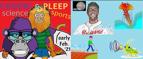 Chooki & Pleep - Science & Sports - Hank Aaron, How Jellyfish Swim, a New 'Pangea'