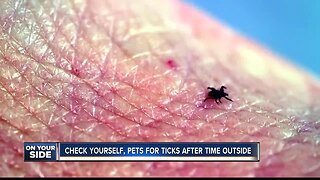 Ticks popping up all over the Treasure Valley