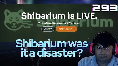 Shibarium was it a disaster? #shib #shibarium #shibainu