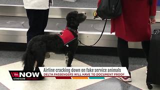 Delta sets new rules for flying with animals