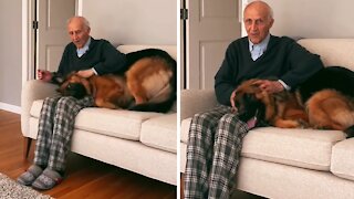 Old Man And German Shepherd Share Special Relationship