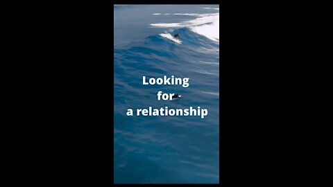 Looking for a relationship?