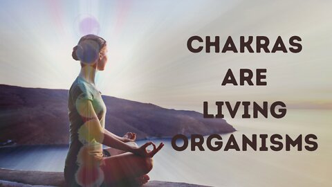 Chakras Are Living Organisms