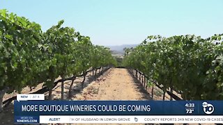 More boutique wineries could be on the way