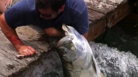Man Catches GIANT Fish With His BARE HANDS
