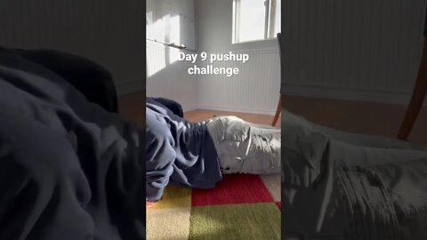 Day 9 pushup challenge