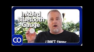Inkbird Wireless Humidity And Temp Gauge Review