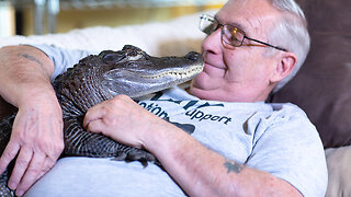 Meet Wally: My Emotional Support Gator | BEAST BUDDIES