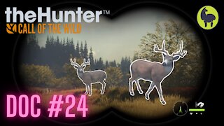 The Hunter: Call of the Wild, Doc #24